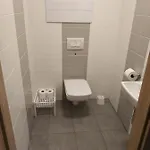 Rodinný Lucie V Blízkosti Wellness Ve Frymburku *